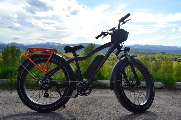 Door 2 Door E-Bike Rentals In Jackson Hole Wyoming Rad Rover Fat Tire E-Bike