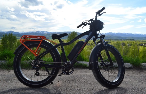 Door 2 Door E-Bike Rentals In Jackson Hole Wyoming Rad Rover Fat Tire E-Bike